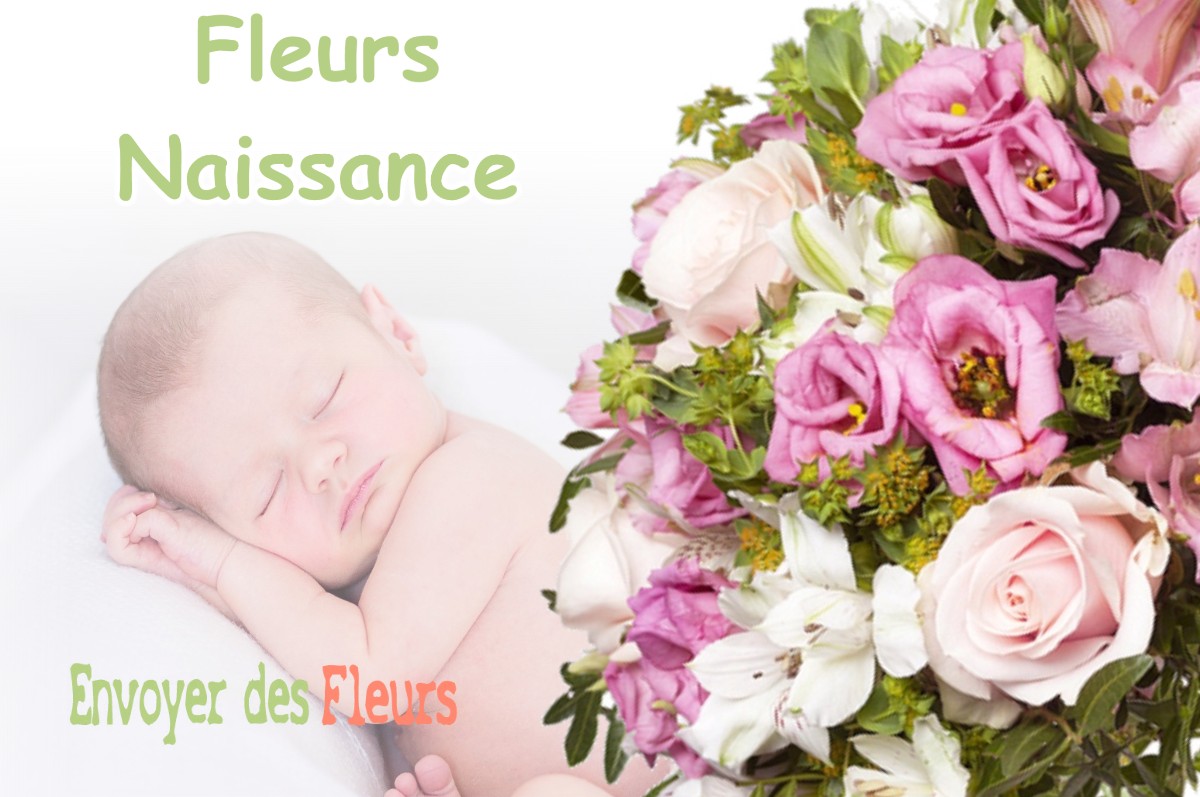 lIVRAISON FLEURS NAISSANCE à AURIGNAC